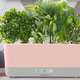 AeroGarden Harvest Slim | $80 | Macy’s